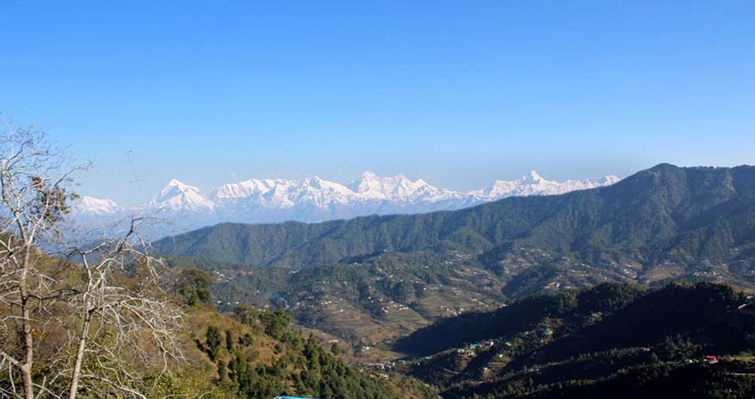 The Himalayan Monk